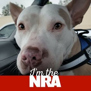 Meet your Posher, Keith